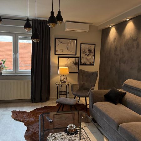 Apartman Pannonica Pin 0-24H 슬라본스키브로드 외부 사진
