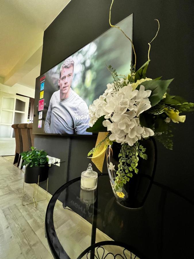 Apartman Pannonica Pin 0-24H 슬라본스키브로드 외부 사진