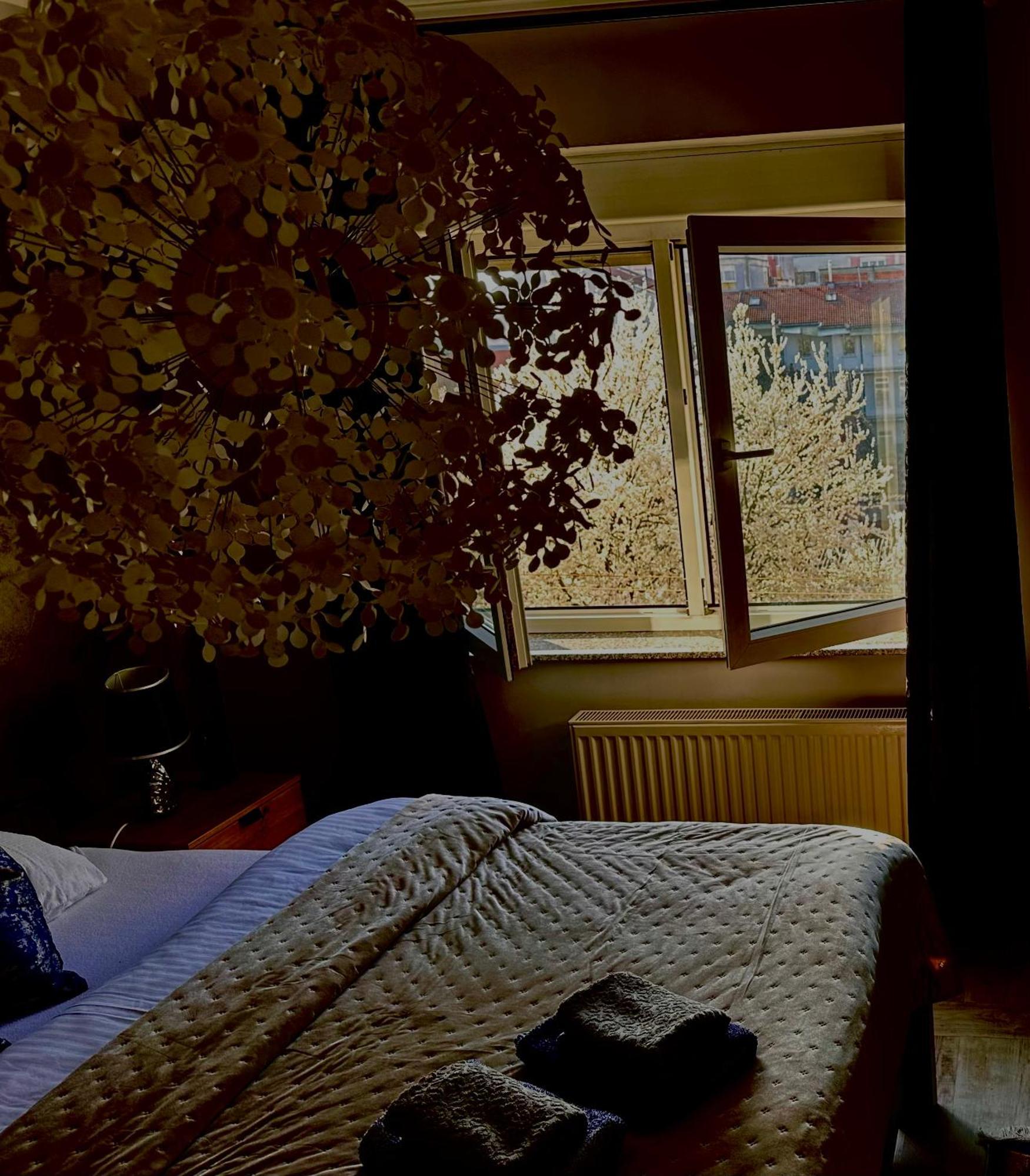 Apartman Pannonica Pin 0-24H 슬라본스키브로드 외부 사진