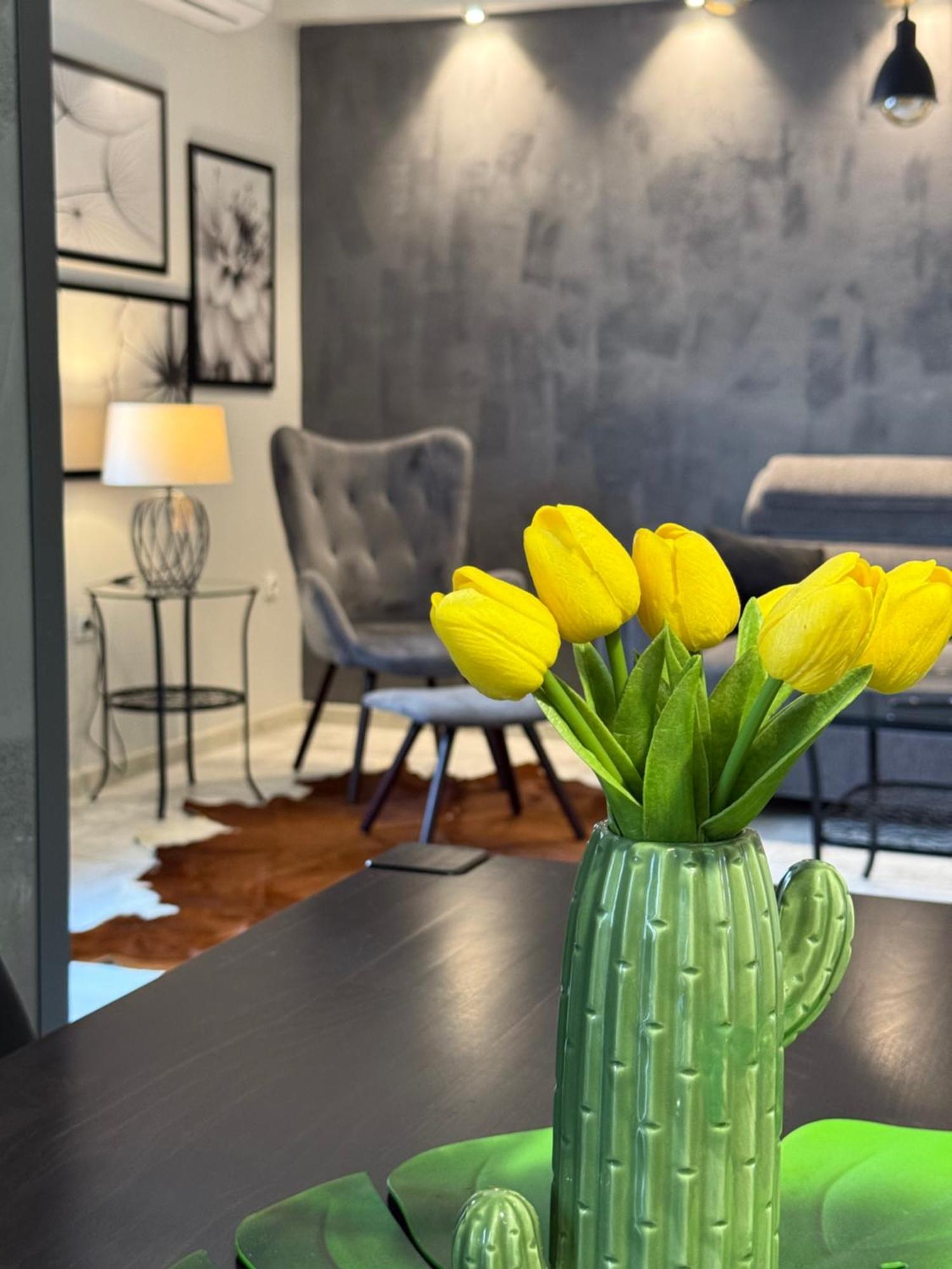Apartman Pannonica Pin 0-24H 슬라본스키브로드 외부 사진
