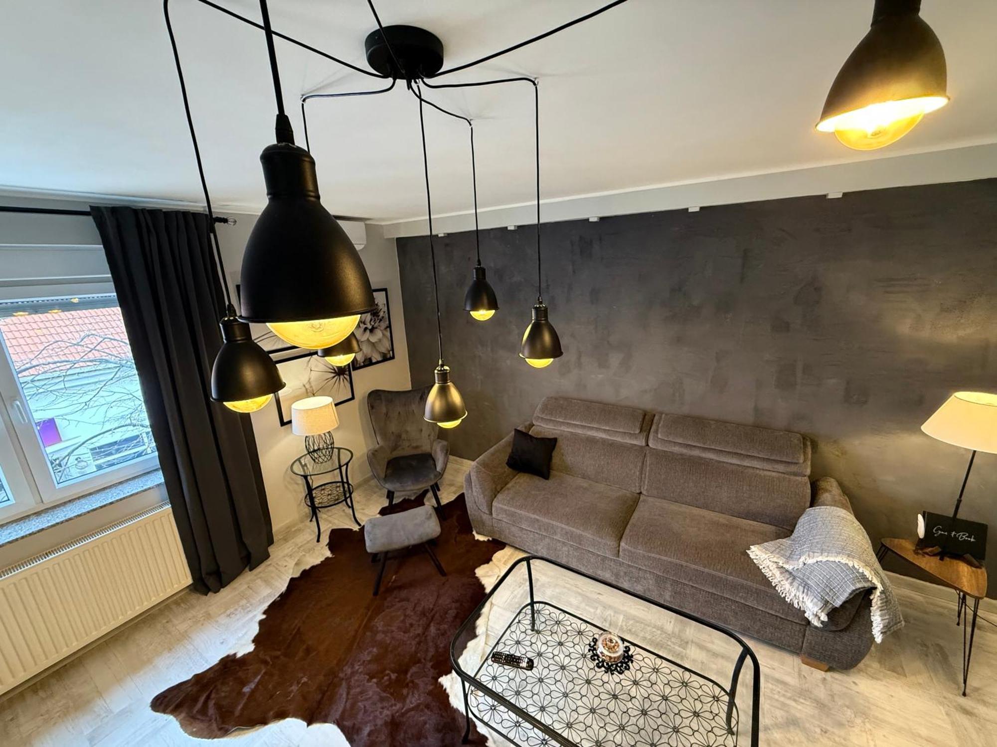 Apartman Pannonica Pin 0-24H 슬라본스키브로드 외부 사진
